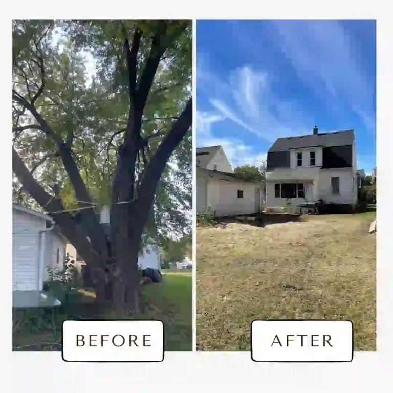 Before & After4